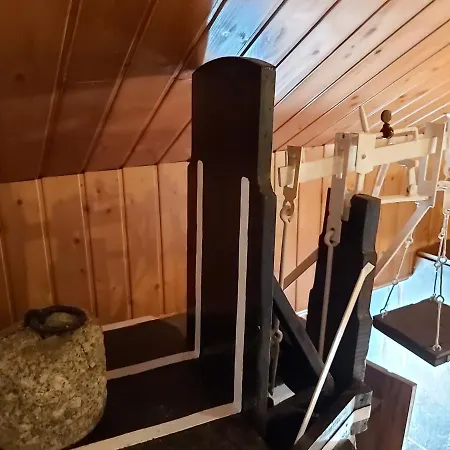 Vakantiehuis Casa Da Arvore - Paradinha