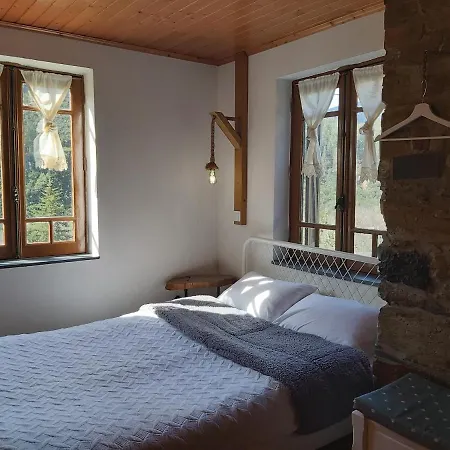 Casa Da Arvore - Paradinha