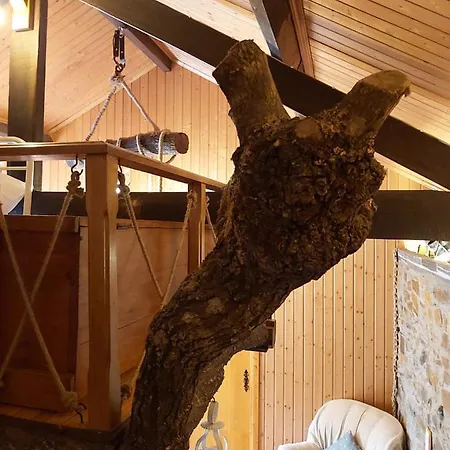 Casa Da Arvore - Casa de Férias Paradinha