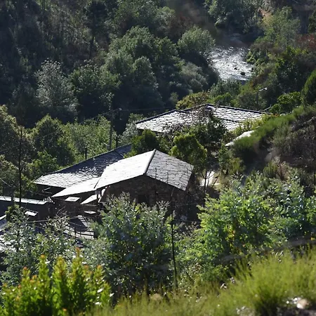 Casa Da Arvore - * Paradinha