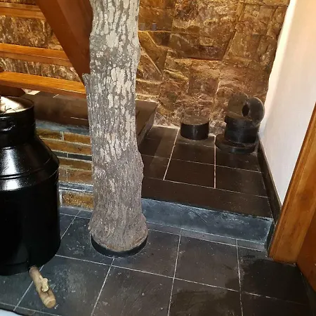 Vakantiehuis Casa Da Arvore - Paradinha