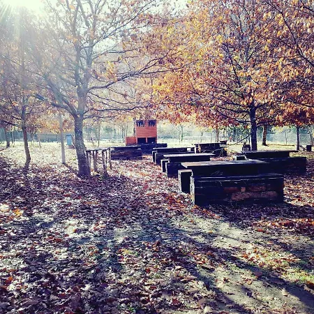 Casa Da Arvore - Paradinha