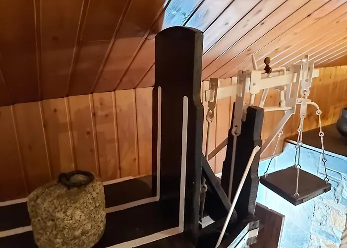 Semesterbostad Casa Da Arvore - Paradinha