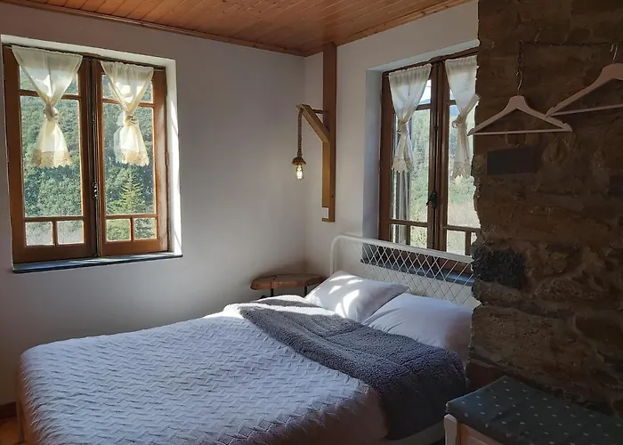 Casa Da Arvore - Paradinha