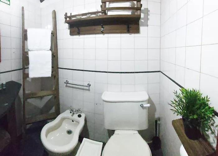 Casa Da Arvore - Tatil Evi