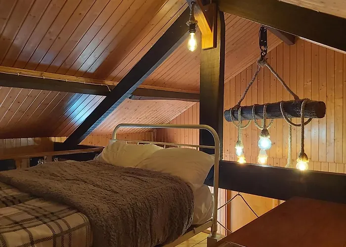 Casa Da Arvore - Tatil Evi *