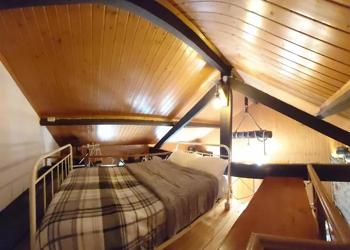 Casa Da Arvore - Tatil Evi