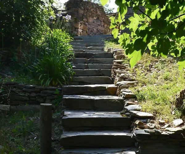 Casa Da Arvore - Tatil Evi *