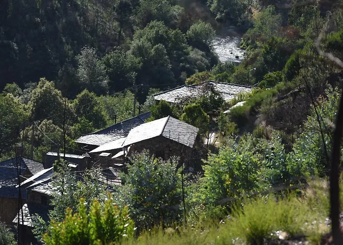 Casa Da Arvore - * Paradinha