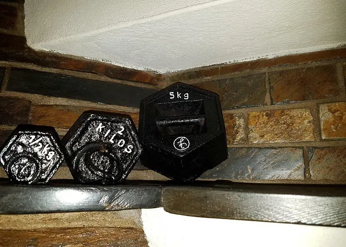 Casa Da Arvore - Tatil Evi