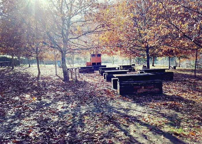 Casa Da Arvore - Paradinha